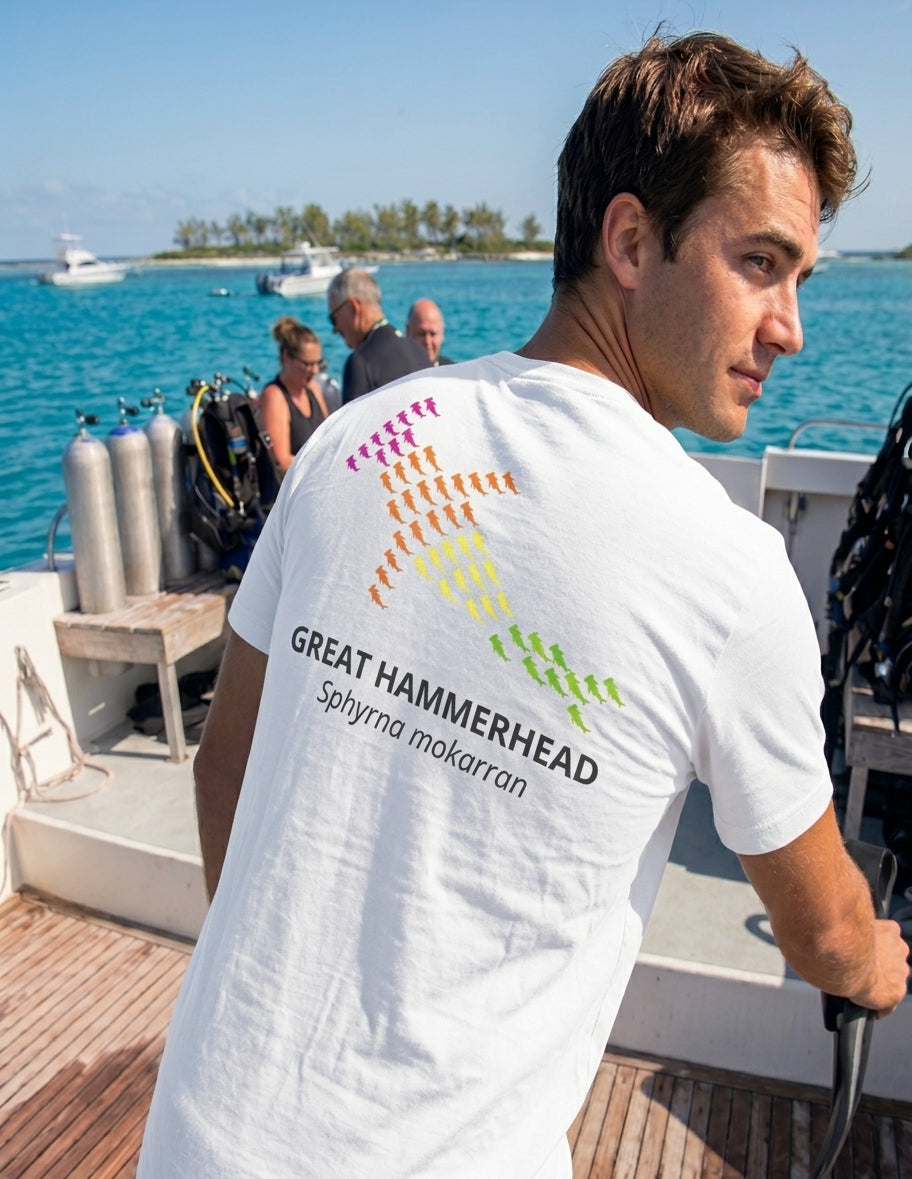 Bimini Great Hammerhead Special Edition Collection
